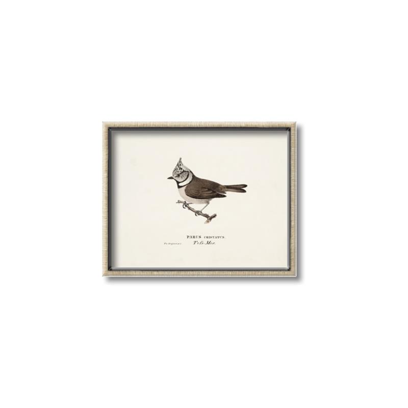 Picture of Parus _GroupedProduct_Rectangle_Landscape_Canvas_Framed_