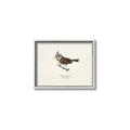 Picture of Parus _GroupedProduct_Rectangle_Landscape_Canvas_Framed_