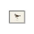 Picture of Parus _GroupedProduct_Rectangle_Landscape_Canvas_Framed_
