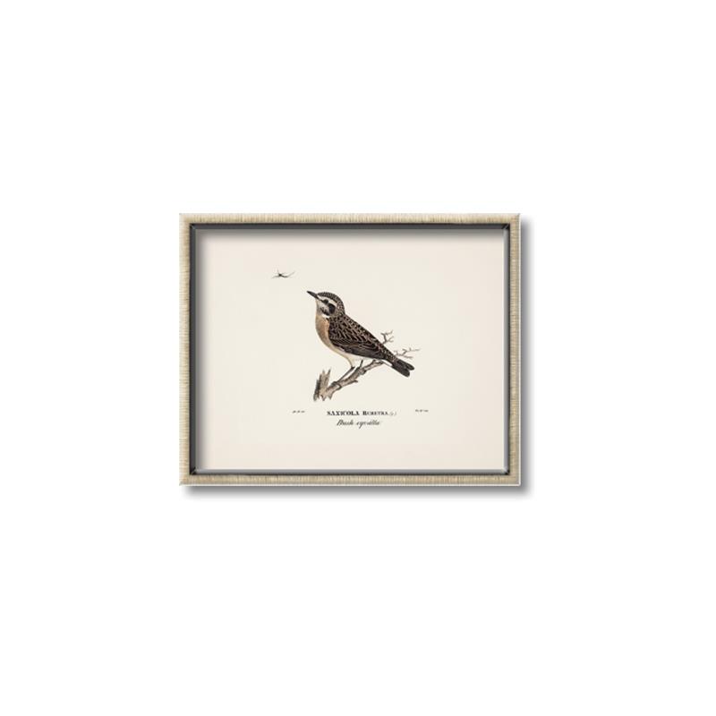 Picture of Wood Lark Bird _GroupedProduct_Rectangle_Landscape_Canvas_Framed_