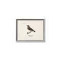 Picture of Wood Lark Bird _GroupedProduct_Rectangle_Landscape_Canvas_Framed_