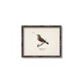 Picture of Wood Lark Bird _GroupedProduct_Rectangle_Landscape_Canvas_Framed_