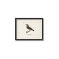 Picture of Wood Lark Bird _GroupedProduct_Rectangle_Landscape_Canvas_Framed_
