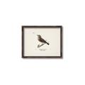 Picture of Wood Lark Bird _GroupedProduct_Rectangle_Landscape_Canvas_Framed_