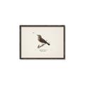 Picture of Wood Lark Bird _GroupedProduct_Rectangle_Landscape_Canvas_Framed_