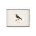 Picture of Wood Lark Bird _GroupedProduct_Rectangle_Landscape_Canvas_Framed_