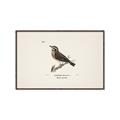 Picture of Wood Lark Bird _GroupedProduct_Rectangle_Landscape_Canvas_Framed_