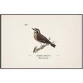 Picture of Wood Lark Bird _GroupedProduct_Rectangle_Landscape_Canvas_Framed_