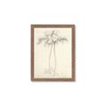 Picture of Tall Tree I _GroupedProduct_Rectangle_Portrait_Framed_Matted_