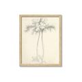 Picture of Tall Tree I _GroupedProduct_Rectangle_Portrait_Framed_Matted_