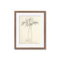 Picture of Tall Tree I _GroupedProduct_Rectangle_Portrait_Framed_Matted_