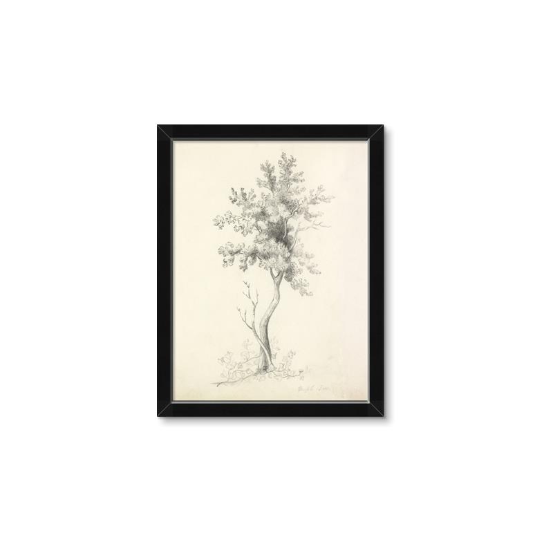 Picture of Tall Tree II _GroupedProduct_Rectangle_Portrait_Framed_Matted_