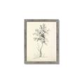 Picture of Tall Tree II _GroupedProduct_Rectangle_Portrait_Framed_Matted_