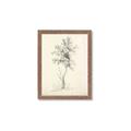 Picture of Tall Tree II _GroupedProduct_Rectangle_Portrait_Framed_Matted_