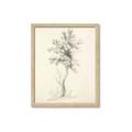 Picture of Tall Tree II _GroupedProduct_Rectangle_Portrait_Framed_Matted_