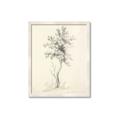 Picture of Tall Tree II _GroupedProduct_Rectangle_Portrait_Framed_Matted_