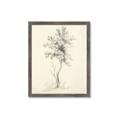 Picture of Tall Tree II _GroupedProduct_Rectangle_Portrait_Framed_Matted_