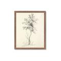Picture of Tall Tree II _GroupedProduct_Rectangle_Portrait_Framed_Matted_