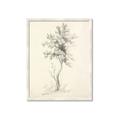 Picture of Tall Tree II _GroupedProduct_Rectangle_Portrait_Framed_Matted_