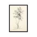 Picture of Tall Tree II _GroupedProduct_Rectangle_Portrait_Framed_Matted_