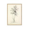 Picture of Tall Tree II _GroupedProduct_Rectangle_Portrait_Framed_Matted_