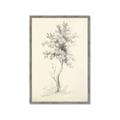 Picture of Tall Tree II _GroupedProduct_Rectangle_Portrait_Framed_Matted_