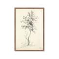 Picture of Tall Tree II _GroupedProduct_Rectangle_Portrait_Framed_Matted_