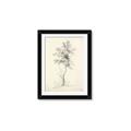 Picture of Tall Tree II _GroupedProduct_Rectangle_Portrait_Framed_Matted_
