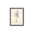 Picture of Tall Tree II _GroupedProduct_Rectangle_Portrait_Framed_Matted_