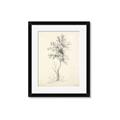 Picture of Tall Tree II _GroupedProduct_Rectangle_Portrait_Framed_Matted_