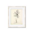 Picture of Tall Tree II _GroupedProduct_Rectangle_Portrait_Framed_Matted_
