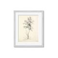 Picture of Tall Tree II _GroupedProduct_Rectangle_Portrait_Framed_Matted_