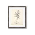 Picture of Tall Tree II _GroupedProduct_Rectangle_Portrait_Framed_Matted_
