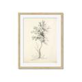 Picture of Tall Tree II _GroupedProduct_Rectangle_Portrait_Framed_Matted_