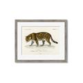 Picture of Carrnivores _GroupedProduct_Rectangle_Landscape_Framed_Matted_