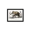 Picture of Indian Elephant _GroupedProduct_Rectangle_Landscape_Framed_Matted_