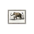 Picture of Indian Elephant _GroupedProduct_Rectangle_Landscape_Framed_Matted_