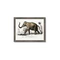 Picture of Indian Elephant _GroupedProduct_Rectangle_Landscape_Framed_Matted_