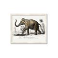Picture of Indian Elephant _GroupedProduct_Rectangle_Landscape_Framed_Matted_