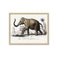 Picture of Indian Elephant _GroupedProduct_Rectangle_Landscape_Framed_Matted_