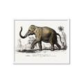 Picture of Indian Elephant _GroupedProduct_Rectangle_Landscape_Framed_Matted_