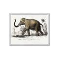 Picture of Indian Elephant _GroupedProduct_Rectangle_Landscape_Framed_Matted_