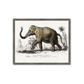Picture of Indian Elephant _GroupedProduct_Rectangle_Landscape_Framed_Matted_