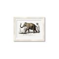 Picture of Indian Elephant _GroupedProduct_Rectangle_Landscape_Framed_Matted_