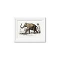 Picture of Indian Elephant _GroupedProduct_Rectangle_Landscape_Framed_Matted_