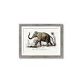 Picture of Indian Elephant _GroupedProduct_Rectangle_Landscape_Framed_Matted_