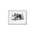 Picture of Indian Elephant _GroupedProduct_Rectangle_Landscape_Framed_Matted_
