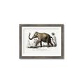 Picture of Indian Elephant _GroupedProduct_Rectangle_Landscape_Framed_Matted_