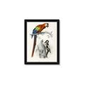 Picture of Feathered Friends _GroupedProduct_Rectangle_Portrait_Framed_Matted_