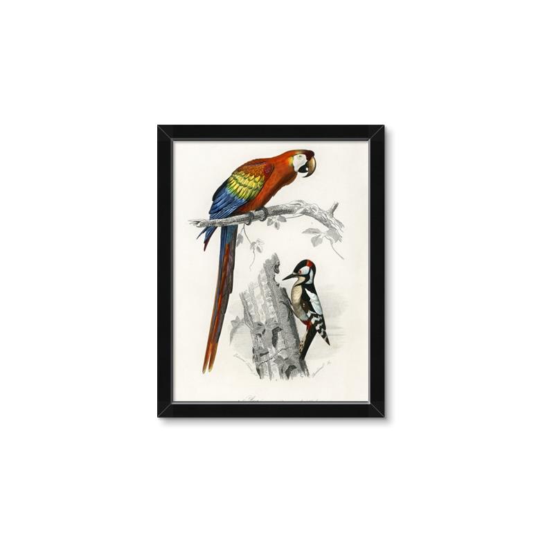 Picture of Feathered Friends _GroupedProduct_Rectangle_Portrait_Framed_Matted_